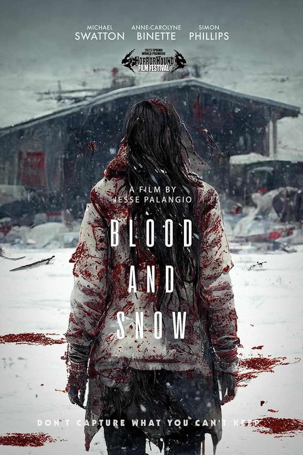 Blood And Snow