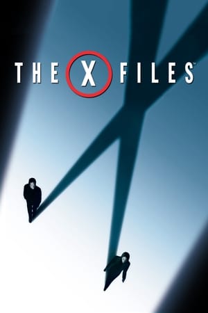X Files Creer Es La Clave
